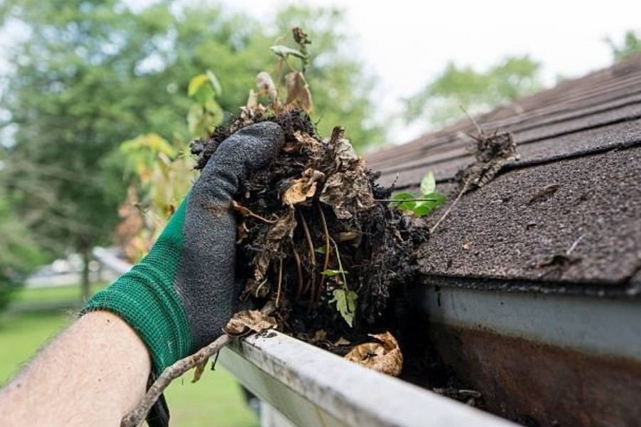 Extend Gutter Lifespan With Proactive Maintenance Plans