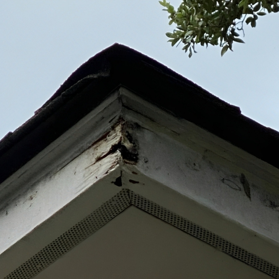 Securing your home's protection hinges on the performance of your gutters.