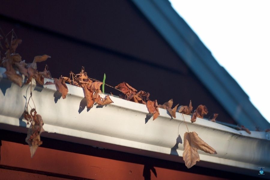 Reliable Gutter Protection for Homes in Kyle, TX